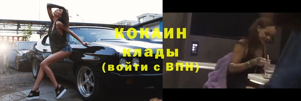 эйфоретик Богданович